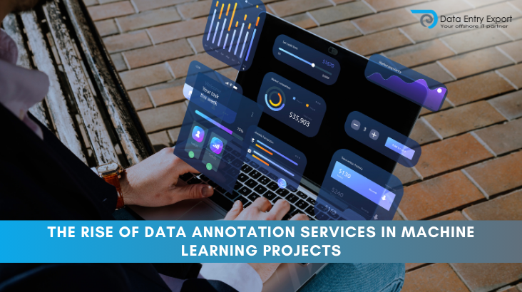 Data Annotation Services in Machine Learning